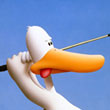 WildGoose